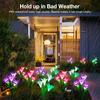 Solar Lily Flower Lights Outdoor Garden Pathway Waterproof LED Flower Lamps for Patio Yard Courtyard Party Christmas Decoration