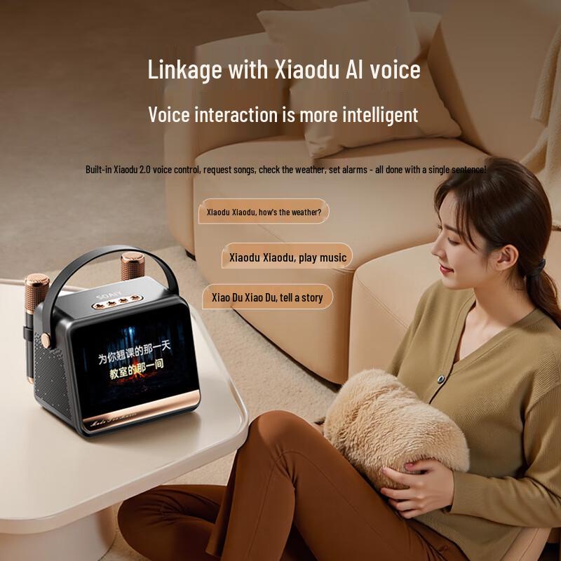 KTV Караоке Микрофон Динамик Soaiy GC520Pro