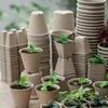 Биоразлагаемый горшок для рассады из пульпы Горшки для выращивания арбуза и клубники Питательные горшки Чашка для культивации Горшок для посадки Питательные чашки