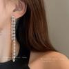 Silver needle zircon long fringed earrings European and American light luxury high-end stud earrings niche fashion versatile earrings women
