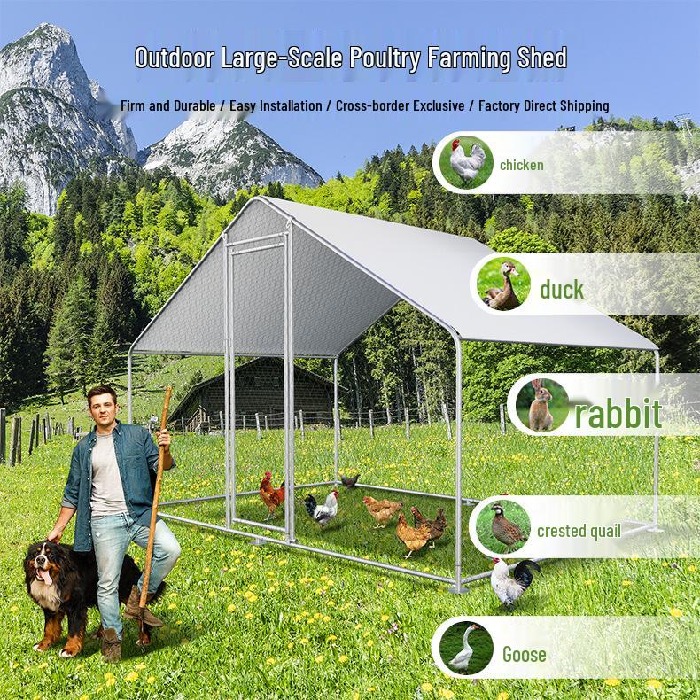 Outdoor Weatherproof Galvanized Chicken and Pigeon Coop