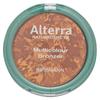 Германия Rothmann Alterra Alterra Makeup Многоцветный бронзер 9 г
