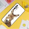 Милый чехол с изображением осла из альпаки для Samsung Galaxy A55 A35 A25 A15 A51 A71 A12 A32 A52 A13 A33 A53 A14 A34 A54, чехол