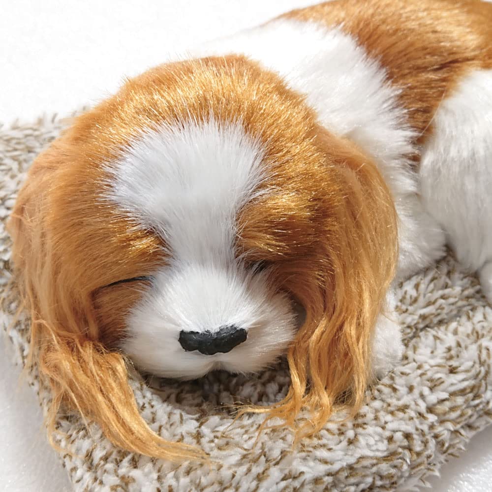 TATOTTE Stuffed Realistic Cute Sleeping Activated Charcoal Soothing Interior Dog, Figurine, Dog, Included, (Cavalier)