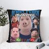 Чехол на подушку John Pork Is Calling Квадратный чехол на подушку Двусторонний принт Короткий плюш Подушка для дивана Подушка для кровати в спальне