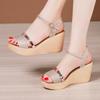 Fashion High Heel Wedges Sandals For Women 2024 Summer New Platform Fashion Footwear Red Black Gold Silver Large Size Sandals 32-43
