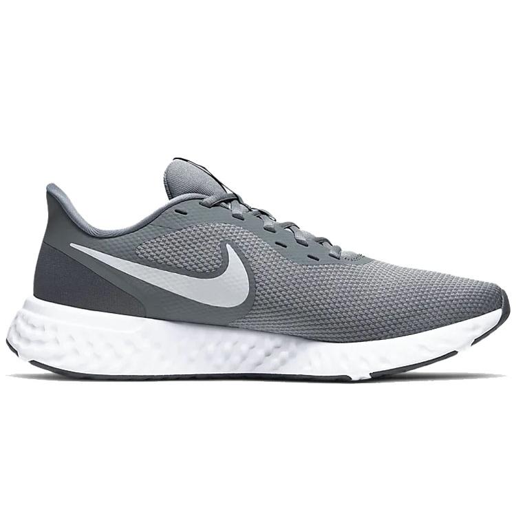 Nike Revolution 5 Холодный серый BQ3204-005