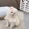 Pet Spring and Autumn Lace Dress Pet Small Dog Teddy Lace Vest Top Cat Thin Dog Dresses for Small Dogs Puppy Clothes