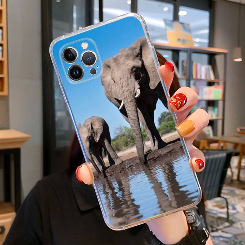 Чехол для телефона с изображением слона для iPhone 14 13 12 11 Pro Max XS X XR SE 2020 6 7 8 Plus Mini Transparent Shell