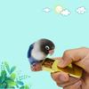 Кормушка для тренировки птиц, ручная кормушка для попугаев, интерактивная обучающая игрушка для птиц, чашка-кормушка
