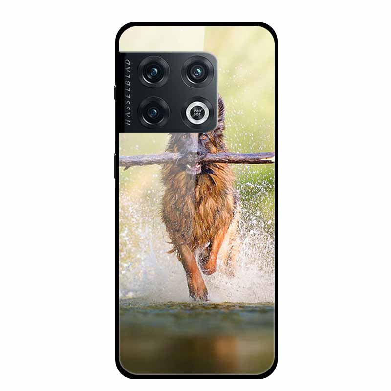 Чехол для One plus 10 Pro Ударопрочный Закаленное Стекло Жесткая Задняя Крышка Для OnePlus 10 Pro 10Pro Oneplus10 1+10 Pro Бампер Чехол Coque Case