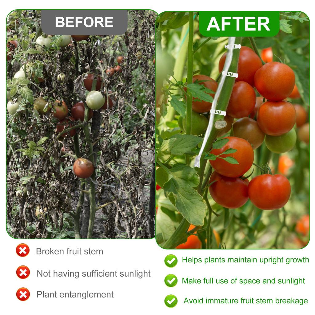 10 шт. Томатные роликовые крючки Прочный набор для шпалеры для цветочной лозы и урожая с 15-метровой веревкой Многоцелевой шпагат Роликовые крючки для шпалеры для лозы и урожая