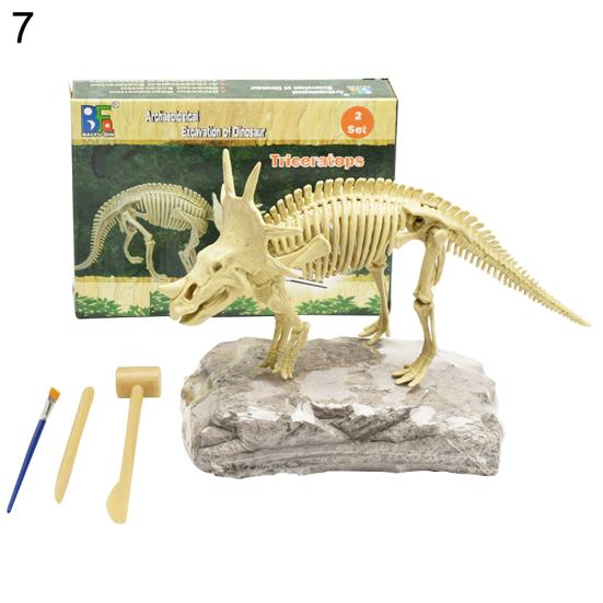 Dinosaur Fossil Skeleton Excavation Dig Up Kit DIY Assembly Educational Kids Toy