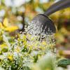 Plastic Garden Watering Can for Watering Plants and Flowers 5L