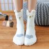 Winter Coral Velvet Socks Children's Plush Home Sweet Floor Socks Adult Thick Cute Sleep Socks