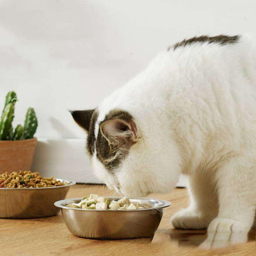 Stainless Steel Cat Feeder Large Capacity Cat Water Feeder Bowls Durable Pet Food Container Indoor