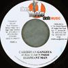 7inch Record ELEPHANT MAN / VOICEMAIL - Caribbean Gangsta  / Walkout NONE Dem Yute Deh Mu 2004 Jamaica Reggae, Ska & Dub Used