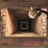 Коврик для двери 3D-иллюзия «Таинственная лестница» Плоский, нескользящий, легко чистится. Идеально подходит для входной двери, спальни, ванной комнаты