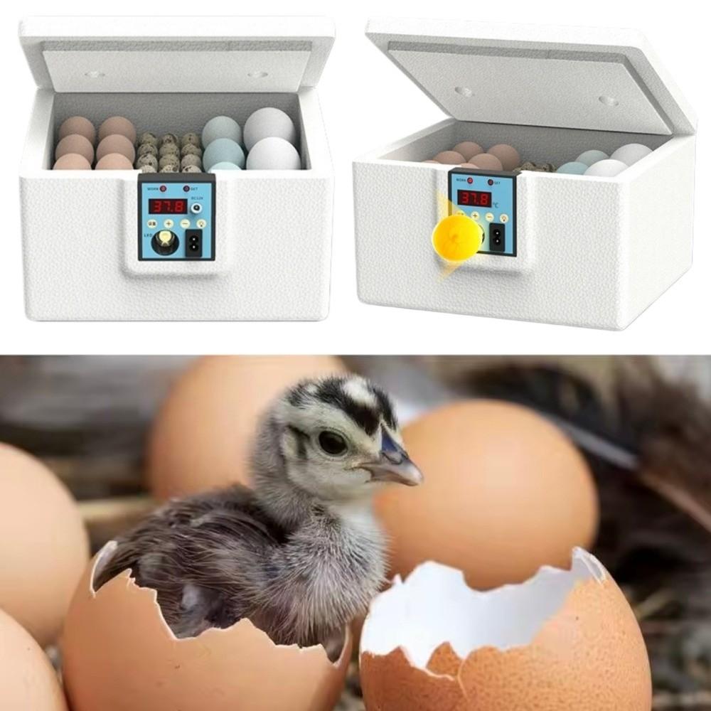 Digital Display Poultry Smart Incubator Foam Insulation Eggs Hatcher Machine  Farm