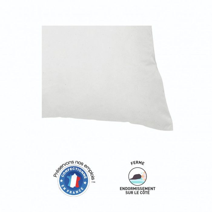 Lot de 2 oreillers 60 x 60 cm Blanrêve Gamme "Douceur" traité Anti Acarien
