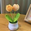 1PC Handmade Weaving Mini Potted Flowers DIY Home Office Desktop Decoration Potted Plants Wool Home Decoration