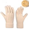 Knitted Gloves for Women In Winter  Double Layer Plus Velvet Thickened Cold Proof Jacquard Outdoor Riding Warm Touch Screen Gloves