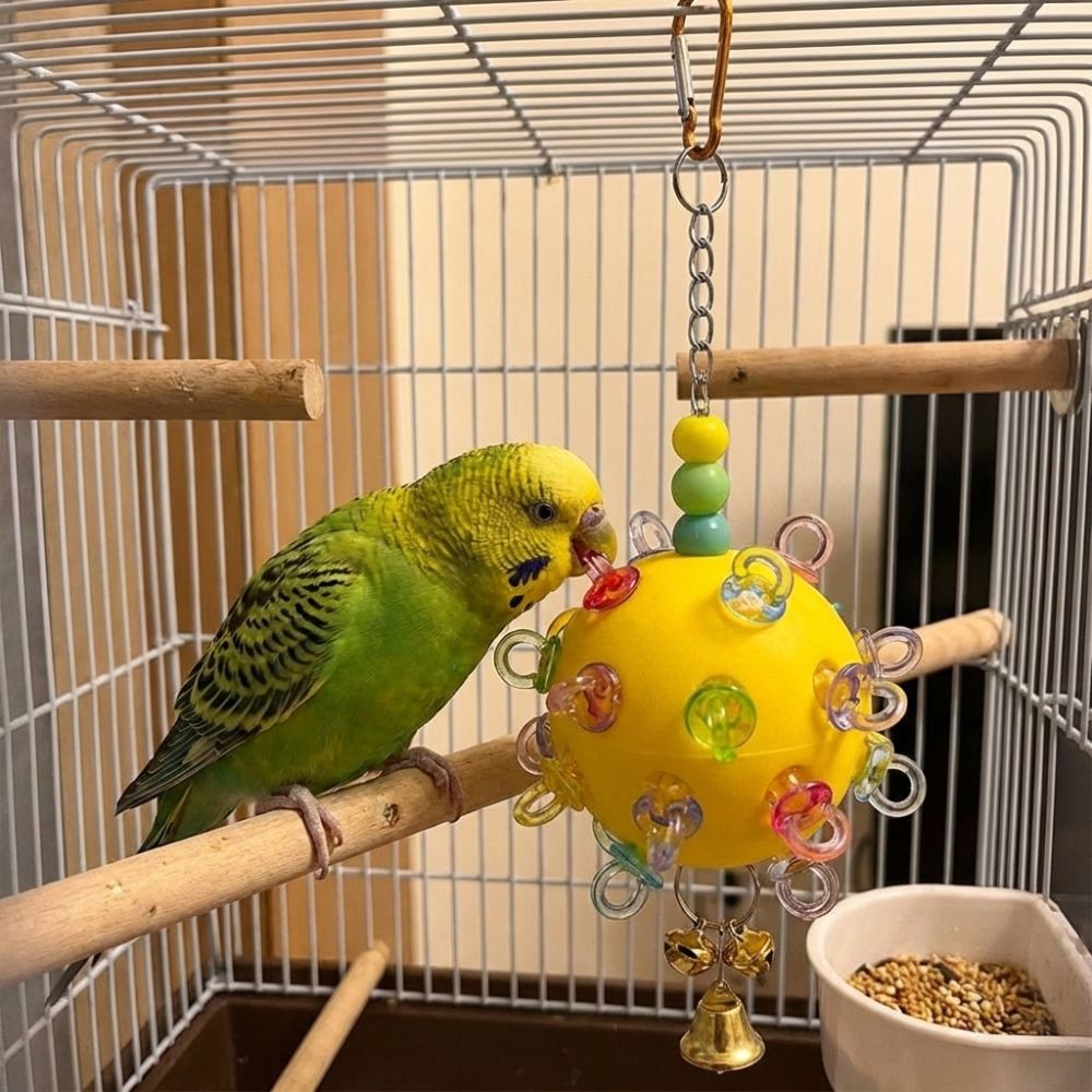 Detachable Bird Cage Toy with Bell Hanging Foraging Ball Creative Parrot Chewing Toy  Bird Training