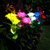 Solar Rose Flower Lights Outdoor Waterproof Garden Stake Sunlight Decorative Landscape Flowers Backyard Party Pathway Solar Lamp