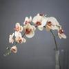 110CM 11 Heads Silk Orchid Phalaenopsis Flowers DIY Wedding Floral Bouquet Artificial Plants Fake Flowers Home Decor Hot Selling