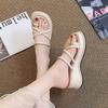 Set of Toe Pinch Foot Muffin Thick Bottom Cool Slippers Women's Summer Wear 2025 New Slope Heel Versatile Fashion