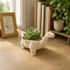 Desktop Decoration Dinosaur Flowerpot Funny Small Storage Container Plant Planting Pot  Balcony