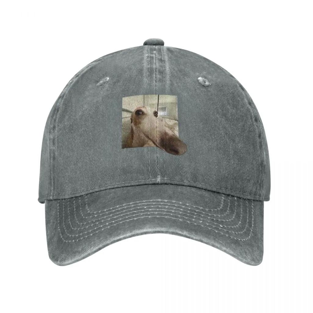 Funny Dog Baseball Cap hats on offer New In Hat Winter hat designer cap For Women  Unisexs