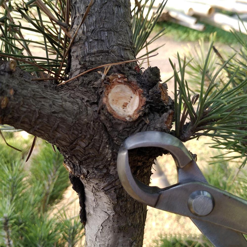 Инструмент для обрезки бонсай, ножницы для корней из высокопрочной нержавеющей стали, шаровой шарнир, плоскогубцы для обрезки ветвей, инструмент для цветника