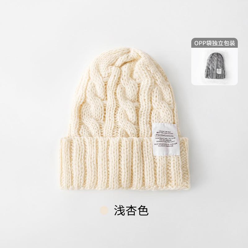 Solid color twist wool hat female autumn and winter student warm ear protection knitted hat couple versatile cold hat