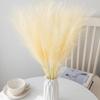 Pampas Grass Reed Artificial Plant Hotsale Home Outdoor Garden Wedding Bridal Bouquet DIY Gift Box Festival Scrapbook Decoration