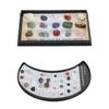 Rock Stone Colletction Kit for Kids Exquisite Science Classroom Rocks and Minerals Collection Minera