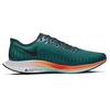 Zoom Pegasus Turbo 2 Зеленый Нептун CN6928-300