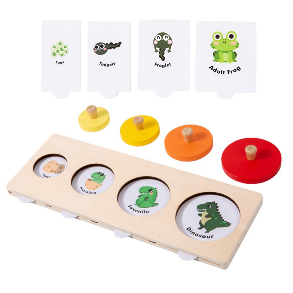 Life Cycle Wooden Peg Puzzle 32pcs Animal Plants Growth & Evolution Cards Puzzle Board For Kids Boys Girls