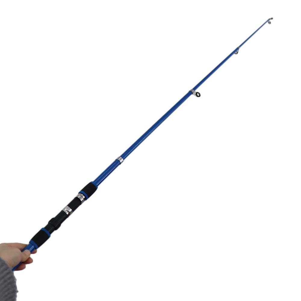 Hard Telescopic Fishing Rod Set Spinning Fishing Hand Pole Mini Fishing Pole Stream Lake