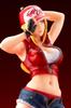 SNK Bishoujo SNK Heroines Tag Team Frenzy Terry Bogard Scale PVC Painted Finished Figure 1/7