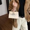 Retro Frosted Women's Handbag 2025: New Fashion Light Luxury Single Shoulder & Crossbody Kelly Bag