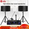 HuiDu 6.5-inch Professional Conference Audio System (CN version)