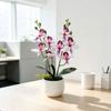 Multicolor Artificial Orchid Flower Silk Petals Simulated Orchid Plant  Desktop Ornament