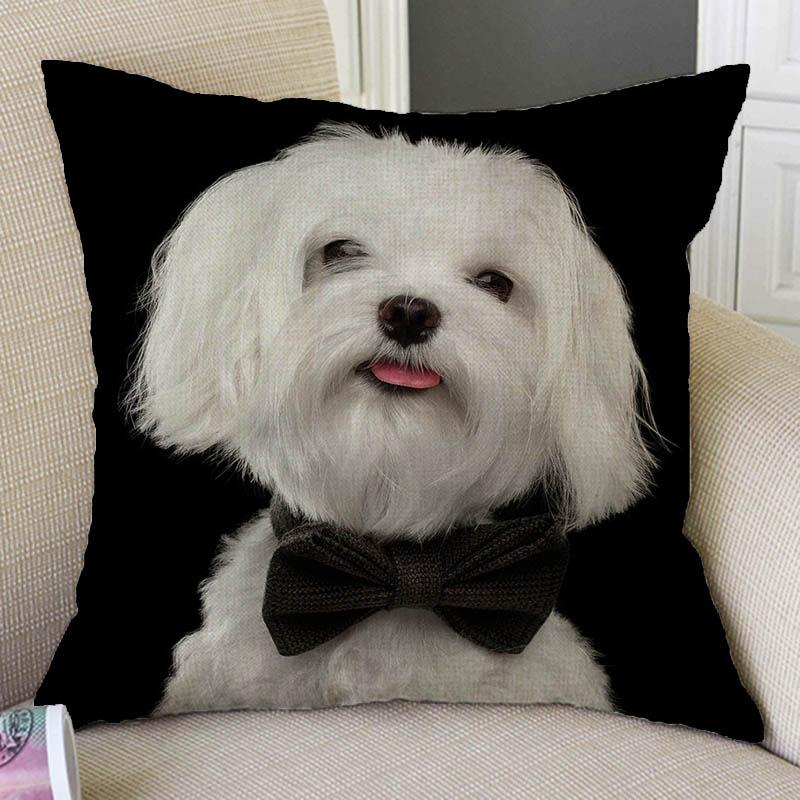 Black Background Dog Puppy Portrait Vizsla Husky Shepherd Shibu Cute Sofa Pillow Case Home Decorative Cotton Linen Cushion Cover