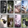 Чехол для телефона с изображением собаки Бордер-колли для iPhone 16,15,14,13,12,11 Plus,Pro Max,XS,X,XR,SE,Mini,8,7, Мягкий силиконовый черный чехол