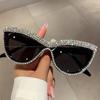 Fashion Cat Eye Punk Sunglasses for Women Men Fashion Stylish Eye Protection Hip Hop Goggles Unisex Luxury Diamond Outdoor Sun Glasses