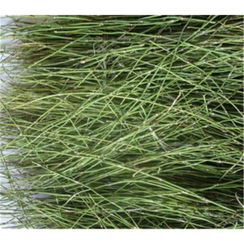 Эфедра травяной чай Китайский оригинальный ароматизированный чай Хороший чай Натуральный органический цветочный чай Зеленый пищевой травяной чай без добавок (500г)