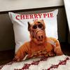 Movie AALF Cushion Cover Reversible Soft Durable Pillow Cover Home  Car MultiScene Use for Daily Comfort