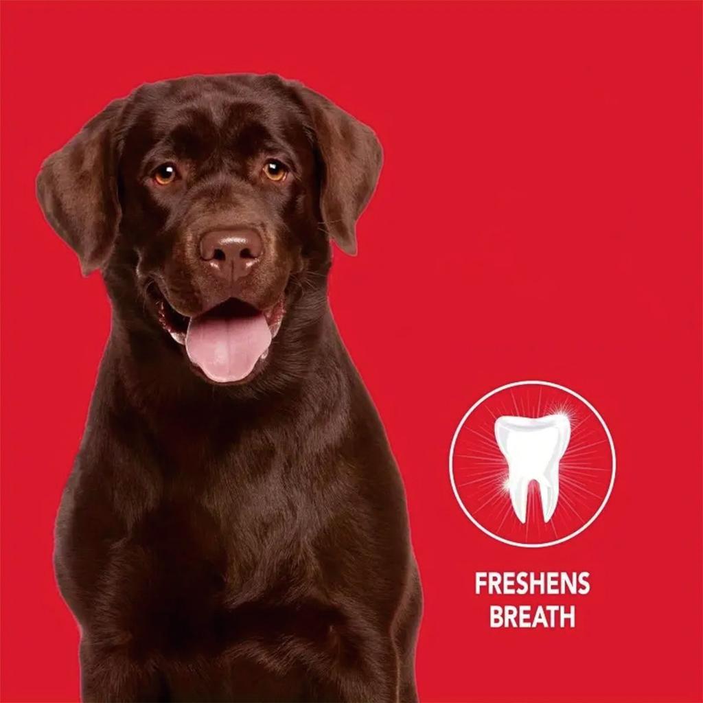 Pet Tooth Powder Has No Harmful Additives, Gently Cleans Without Harming Pets, and Is Suitable for Long-term Daily Use