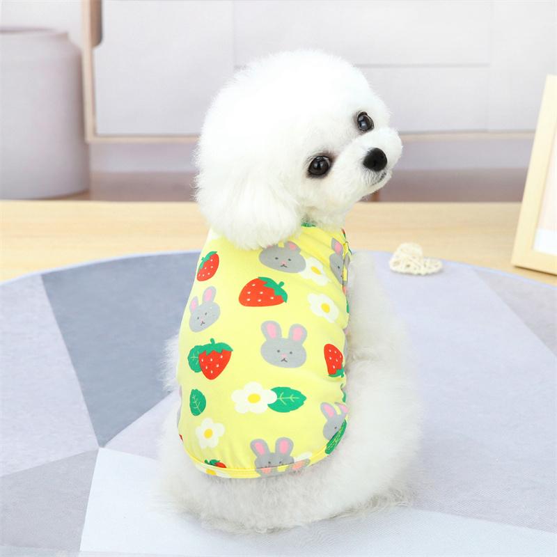 Sweet Print Sphynx Cat Vest T Shirt Summer Cotton Pet Clothes for Cats Gotas mascotas Clothing Katten Kedi Costume vetement chat